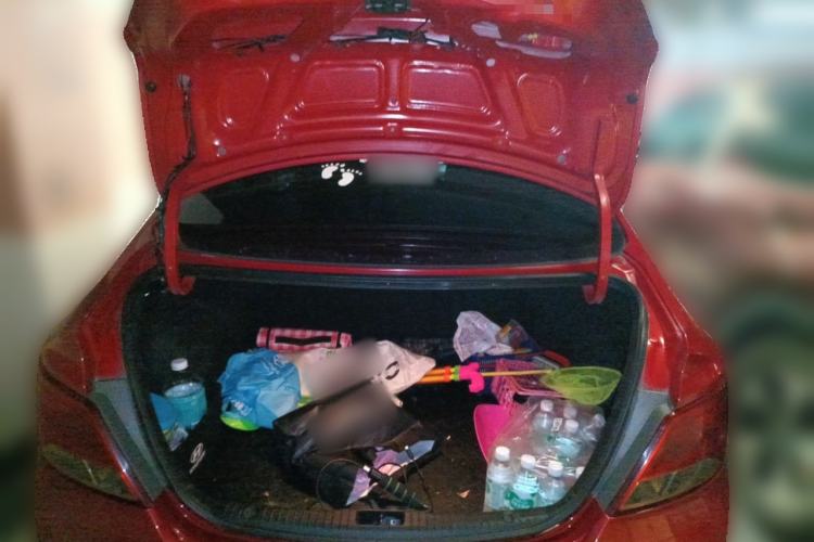 Used Hyundai Verna (older generation) 2014 1.4L Automatic Smart GLS Trunk