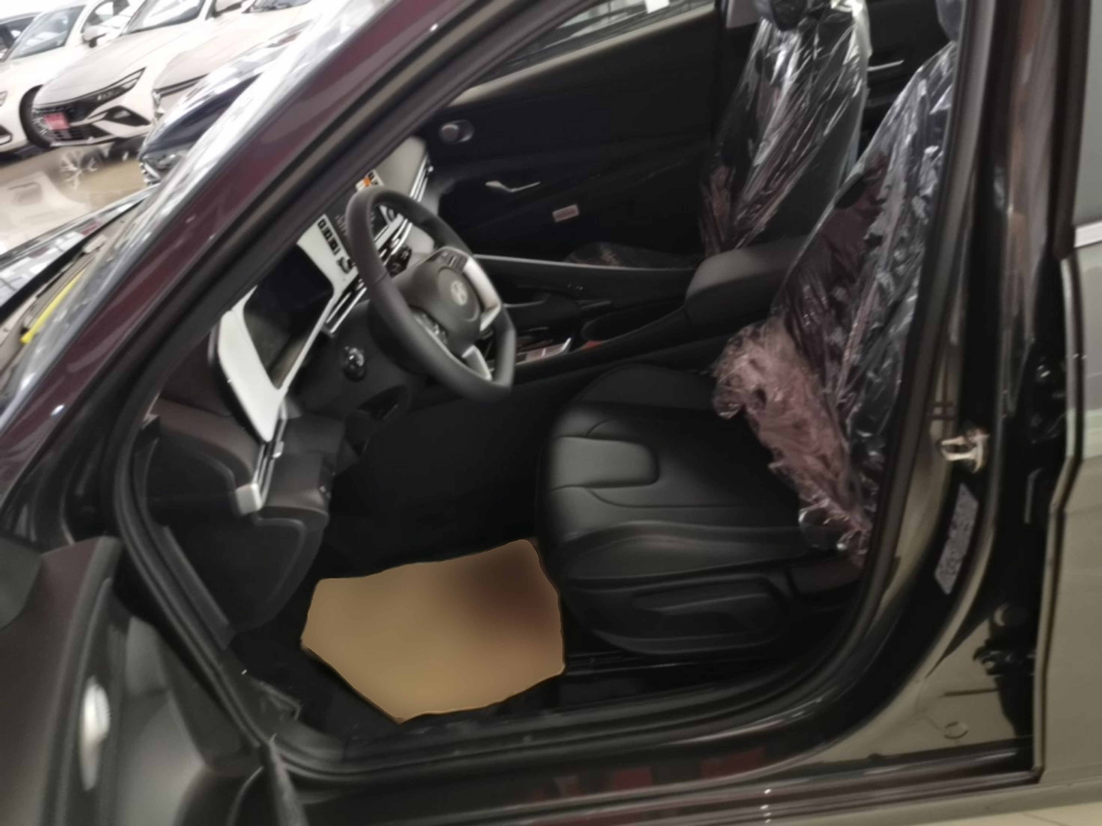 Interior delantero