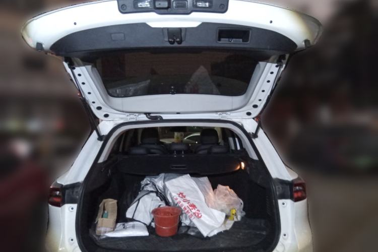 Used EXEED Lingyun 2019 1.6T Two-Wheel-Drive Platinum Edition