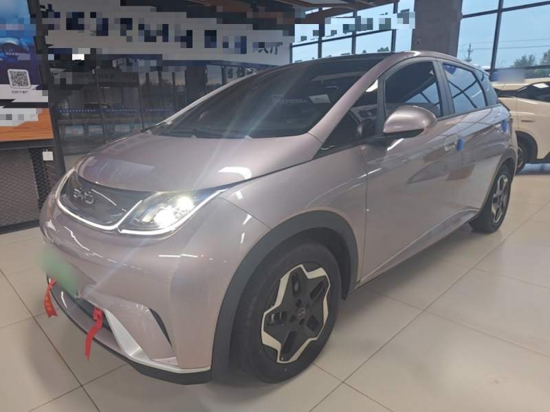 Used BYD Dolphin 2021 405 km Fashion Edition — 1