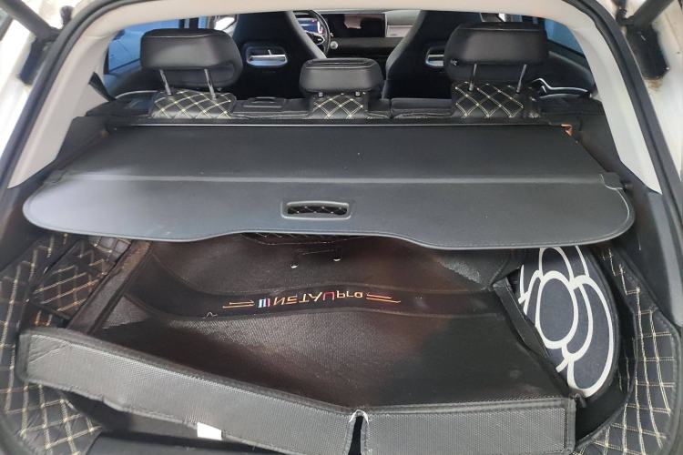 Used NETA U 2021 Pro 500 Global Edition Trunk