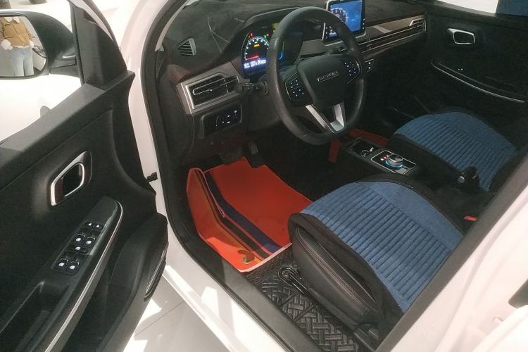 Used Dayun Yuehu 2022 30.66 kWh Two-Wheel Drive Luxury Edition
