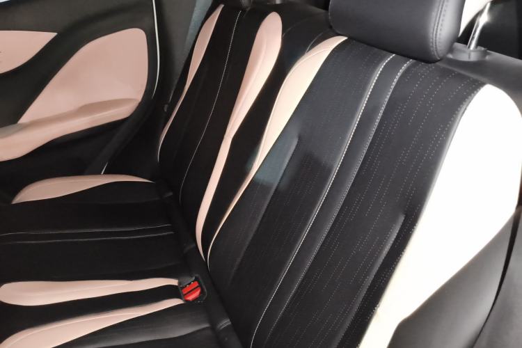 Used BYD Seagull 2024 Honor Edition 405km Flying Version Left Rear Seat