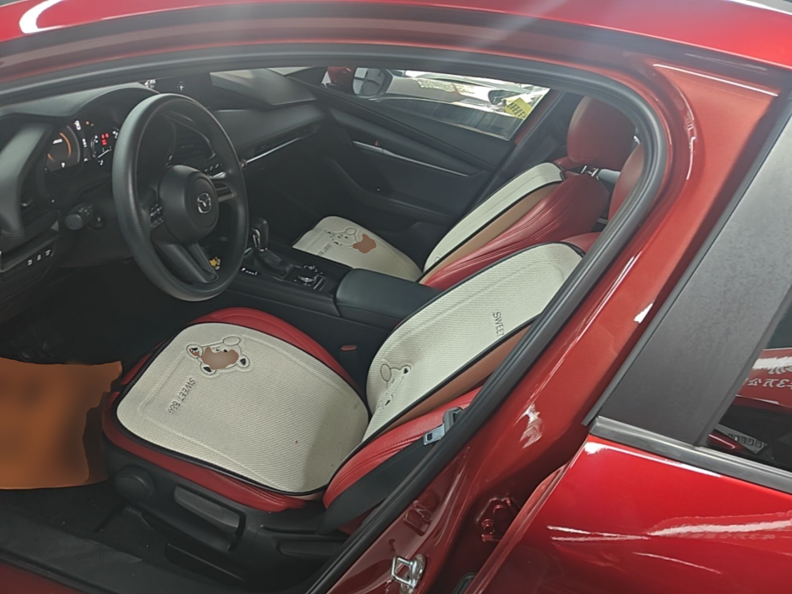 Interior delantero