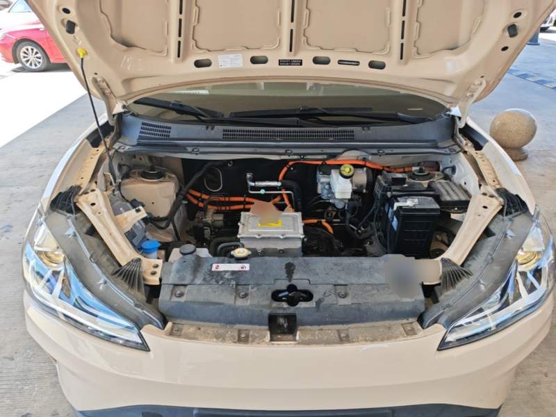 Used NETA AYA 2023 318 Lite — 19