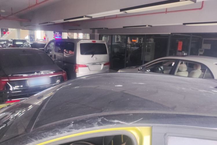 Used SOL E10X 2022 Flower Fairy Design Four-Leaf Clover