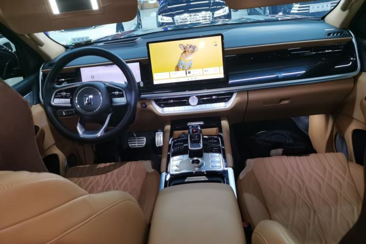 Used Tank 500 New Energy 2024 Hi4-T Center Console