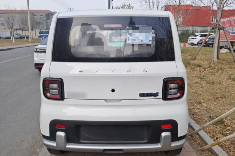 Used Livan Blue Balloon 2025 Model Dynamic Version