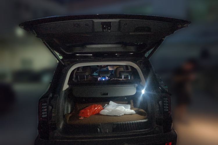 Used Haval DARGO 2022 2.0T DCT 4x4 Chinese Rural Dog Edition