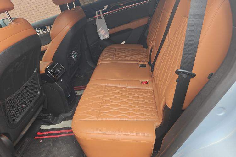 Used BYD Tang New Energy 2023 DM-i Champion Edition 112KM Prestige Model Left Rear Seat