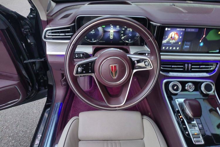 Used Hongqi H9 2020 2.0T Smart Connect Flagship Edition
