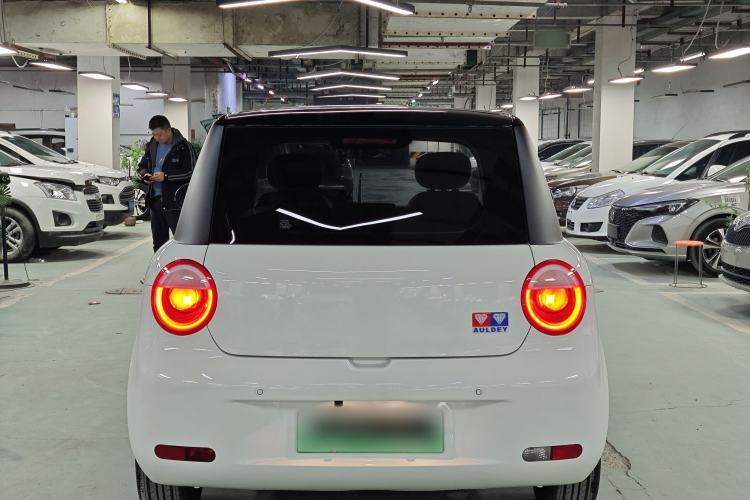 Used Qiyuan Lumin 2023 205km Xiangqin Version