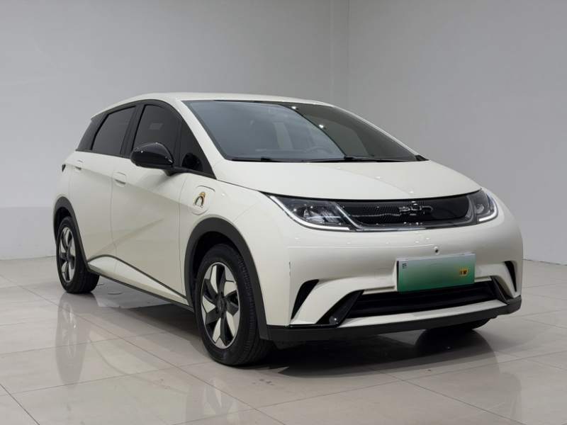 Used BYD Dolphin 2025 420km Free Edition — 32