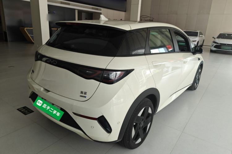 Used BYD Dolphin 2025 Intelligent Driving Version 520km Range Knight Edition Rear Right 45 Deg