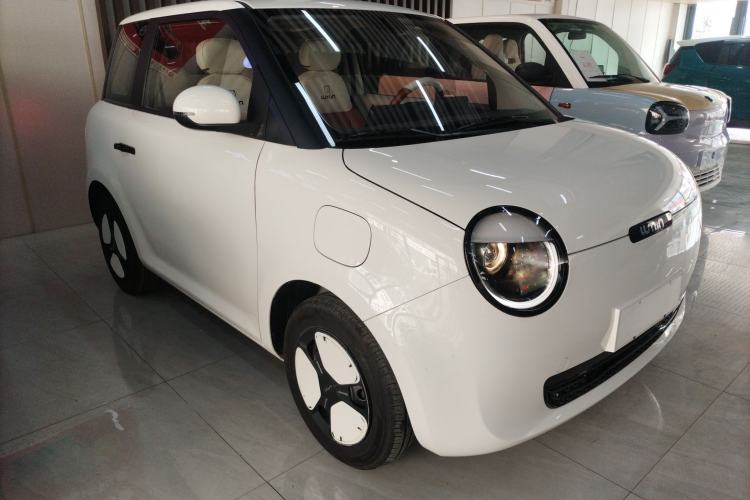Used Qiyuan Lumin 2023 205km Xiangqin Version