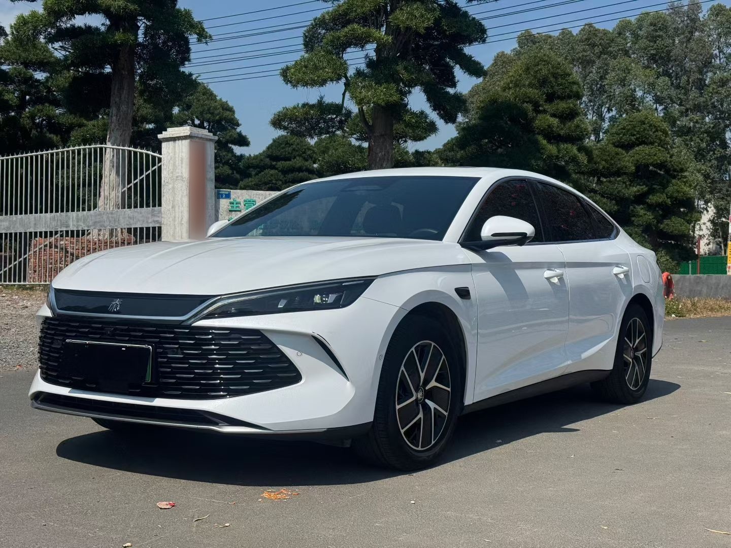 Parte inferior delantera