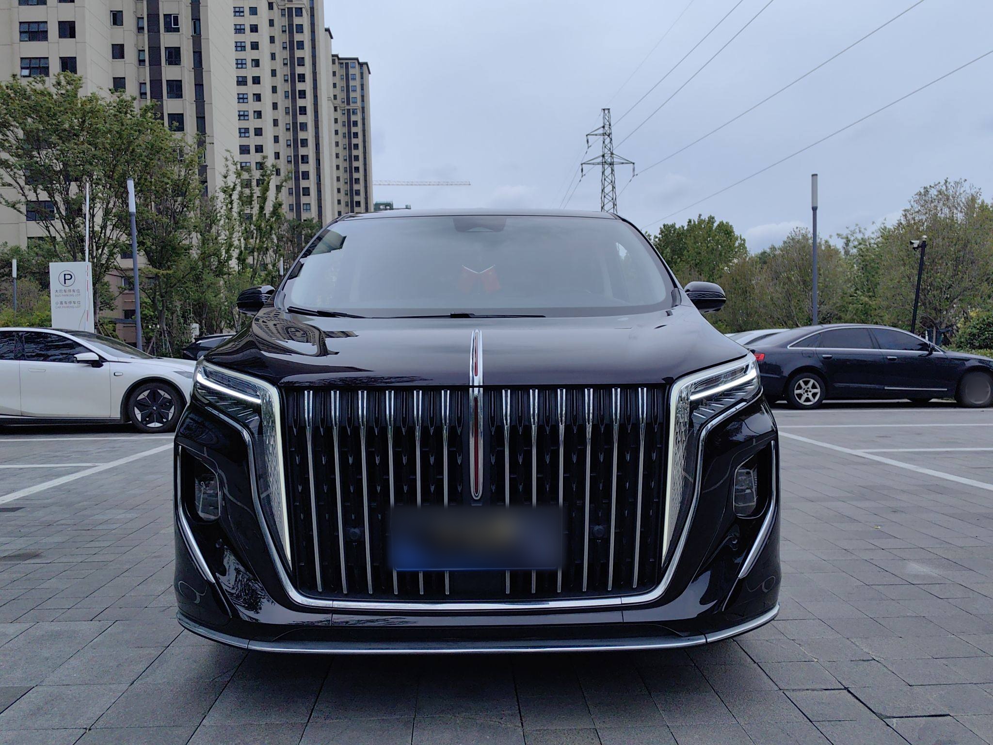 Hongqi HQ9 2023 2.0T Smart Connect Flagship Edition - Chinese Trim Xiang — снимка 3