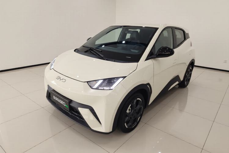 Used BYD Seagull 2024 Honor Edition 305km Freedom Version