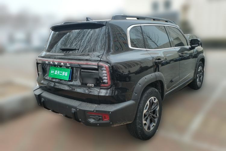 Used Haval DARGO 2024 2.0T DCT Chinese Rural Dog Edition
