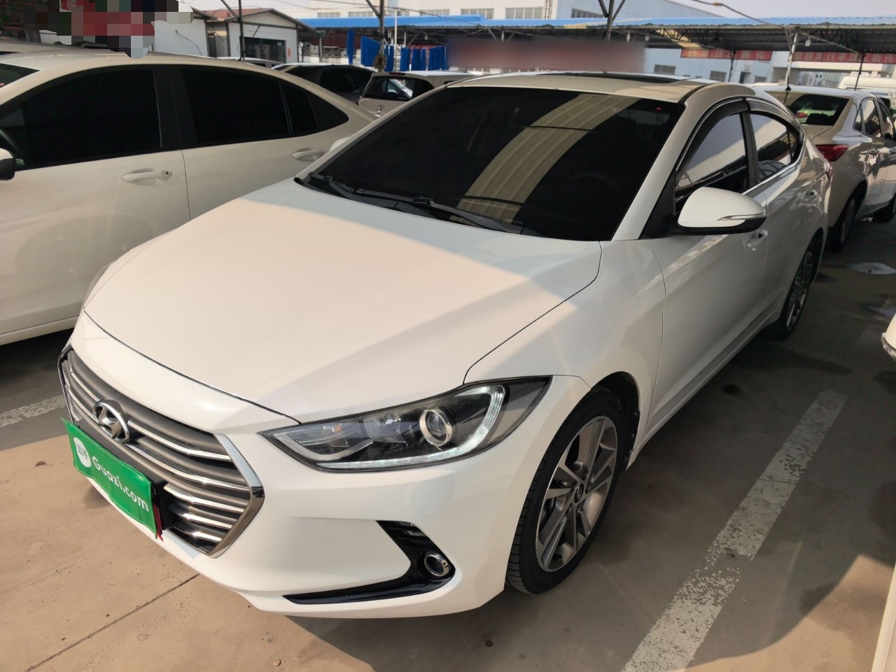 Parte inferior delantera