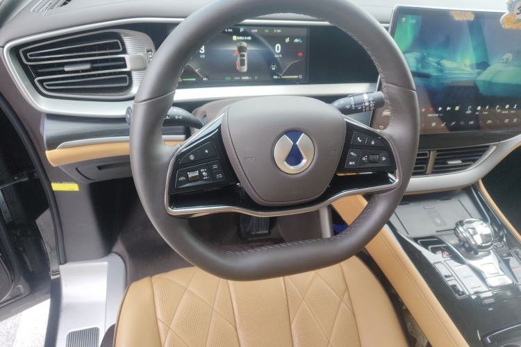 Used Denza D9 2024 DM-i 980 Four-Wheel Drive Flagship Model
