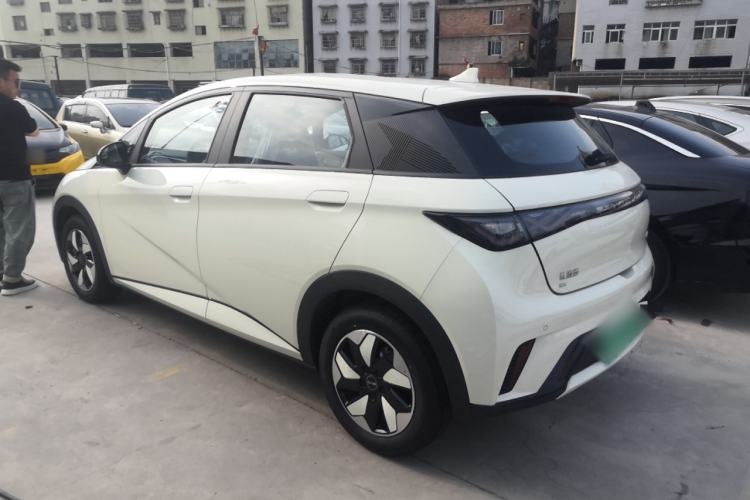 Used BYD Dolphin 2025 420km Free Edition Rear Left 45 Deg