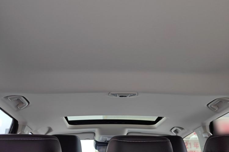 Used Tank 300 2024 2.0T Conqueror