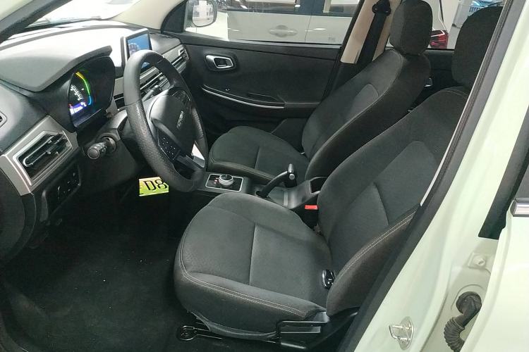 Used Dayun Yuehu 2022 30.66 kWh Two-Wheel Drive Standard Version
