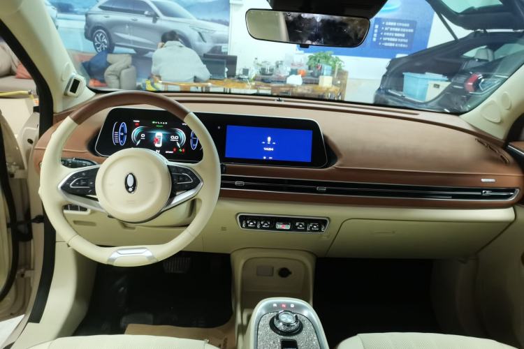 Used ORA Good Cat 2022 Morandi Edition 400km Standard Range Premium Version Lithium-Ion Battery
