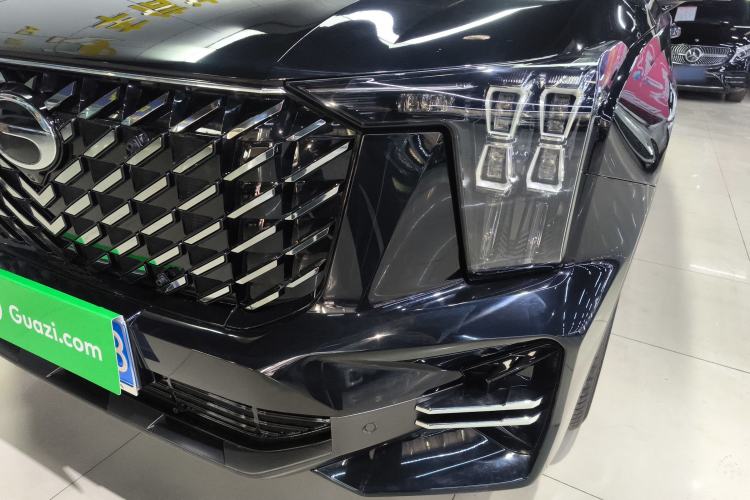 Used GAC Trumpchi GS8 2025 Linghang Series 2.0 TGDI Two-Wheel-Drive Luxury Edition 5 Seats
