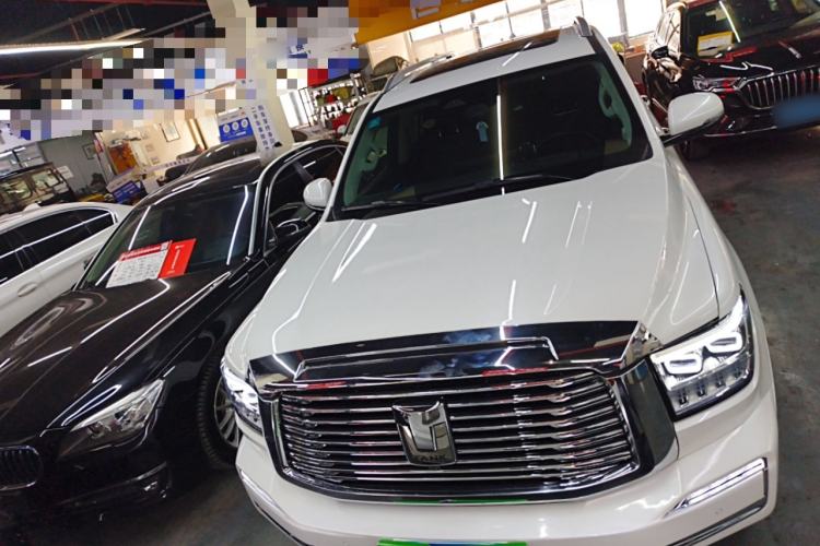 Used Tank 500 2022 3.0T Business Edition "Creation Realm" Design 5-Seater