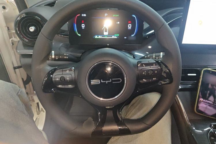 Used BYD e2 2023 Comfort Model Steering Wheel
