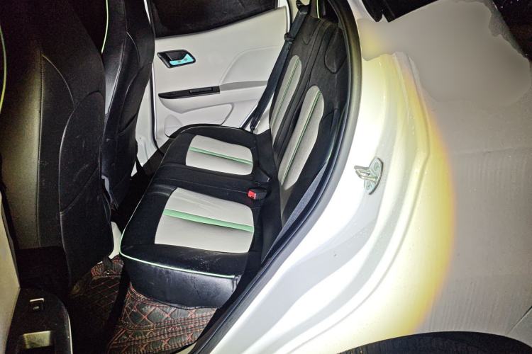 Used JMEV Xiao Qilin 2024 201 km Luxury Version Left Rear Seat