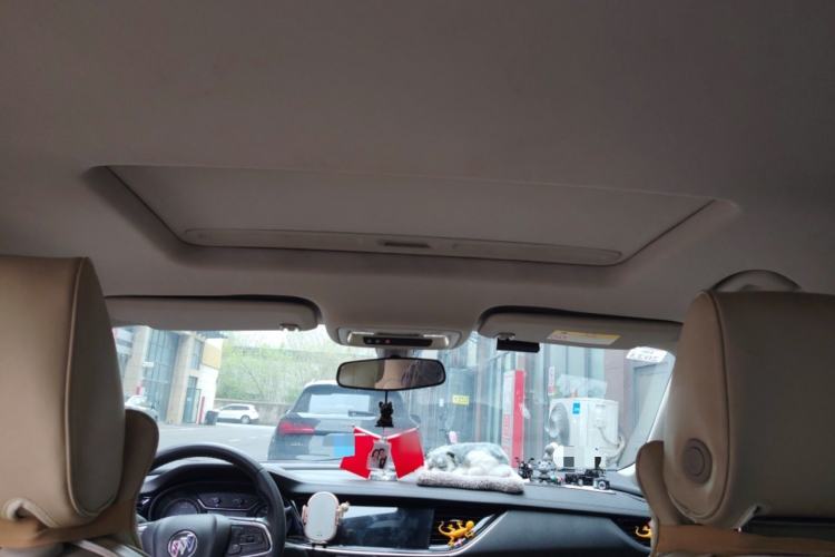 Used Buick Regal 2020 552T Elite Edition Headliner