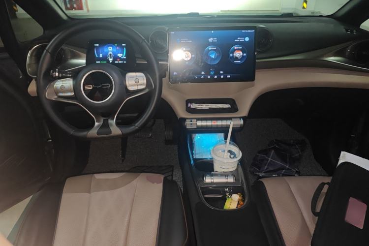 Used BYD Dolphin 2023 420 km Fashion Edition Center Console