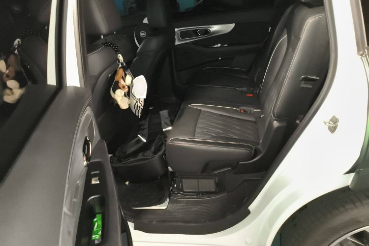 Used GAC Trumpchi GS8 2022 Dual-Engine Series 2.0TM Two-Wheel Drive Prestige Edition (7 Seats)
