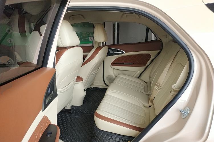 Used ORA Good Cat 2022 Morandi Edition 400km Standard Range Luxury Version Lithium Iron Phosphate Left Rear Seat