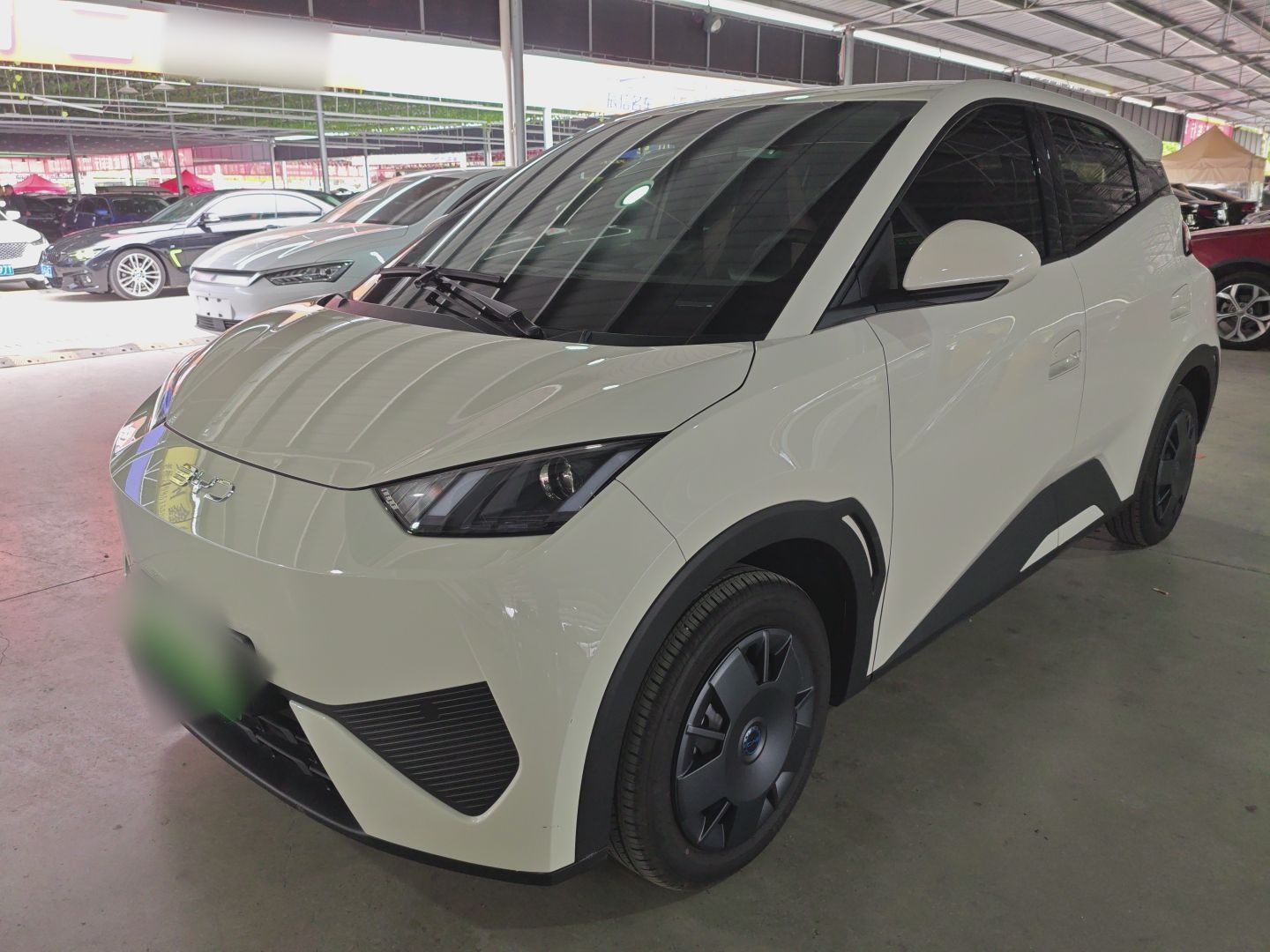 Parte inferior delantera