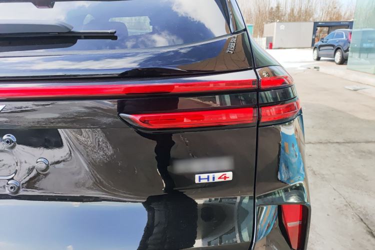 Used Wey Mocha New Energy 2024 Hi4 Four-Wheel Drive Long-Range Version
