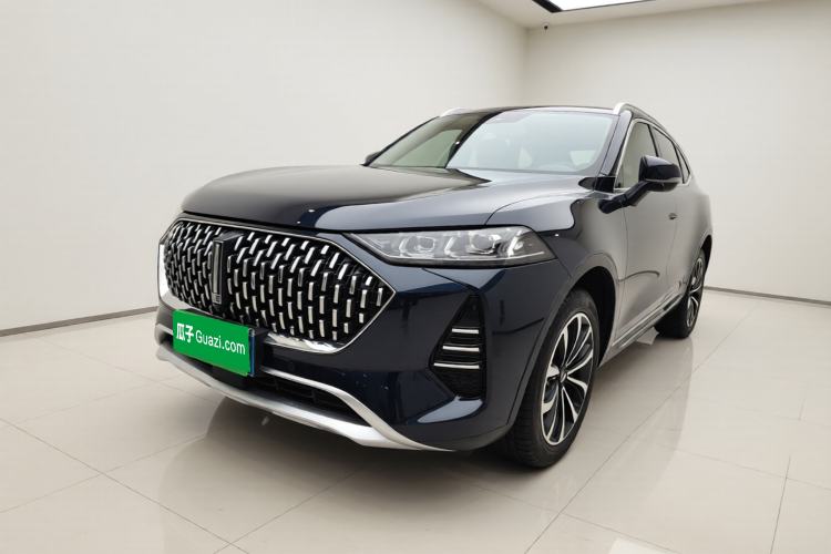 Used Wey Mocha 2021 2.0T Two-Wheel-Drive Premium Edition