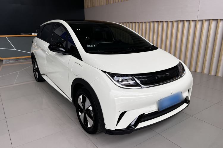 Used BYD Dolphin 2023 420 km Fashion Edition