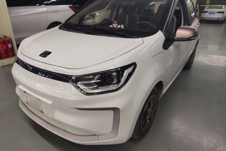 Used SOL E10X 2022 Flower Fairy Design Four-Leaf Clover