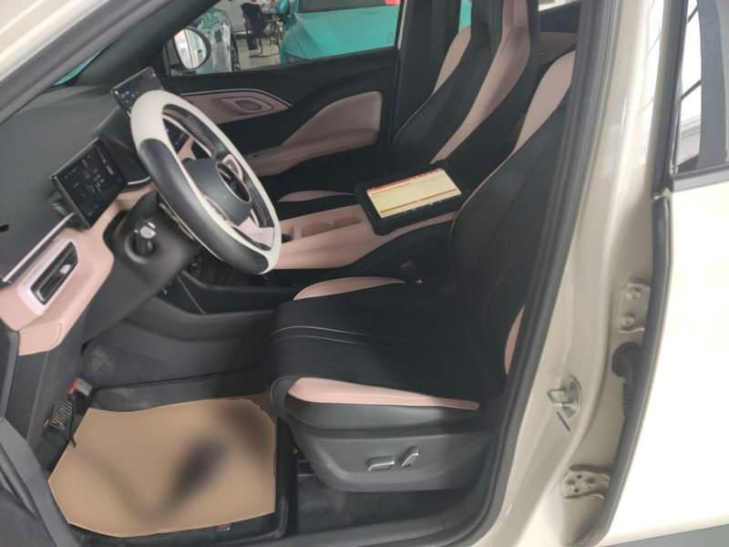 Used BYD Seagull 2025 Smart Drive Version 305 km Freedom Edition — 14