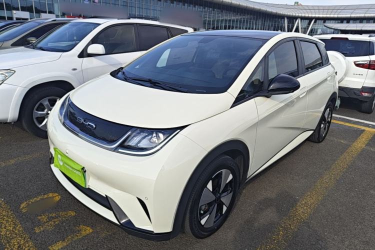 Used BYD Dolphin 2023 420 km Fashion Edition