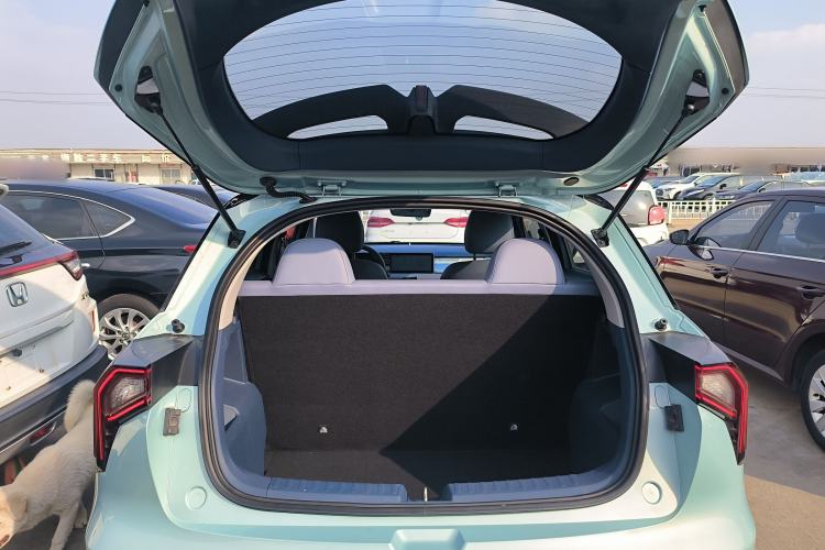 Used Geometry E Firefly 2022 401 km Linglong Tiger 4 Seats Trunk