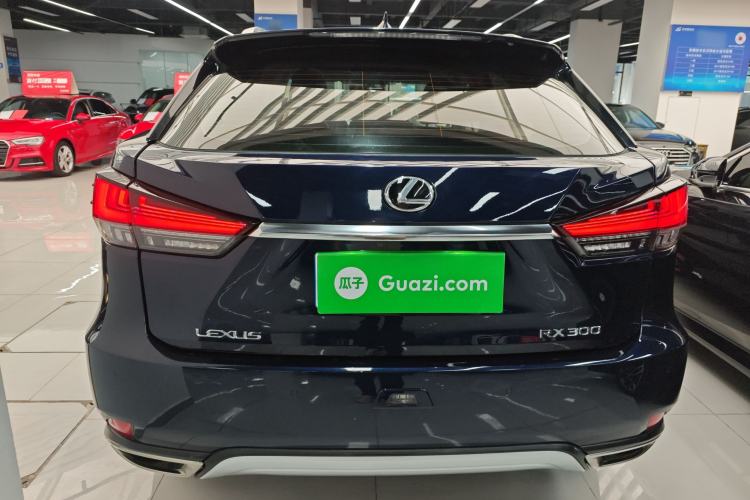 Used Lexus RX 2020 300 Two-Wheel Drive Elite Edition China VI Standard Rear