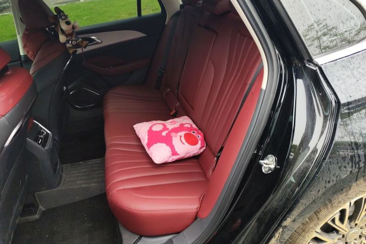 Used Hongqi H5 2025 2.0T Automatic Flag Edition – 500 000 Units Commemorative Version Left Rear Seat