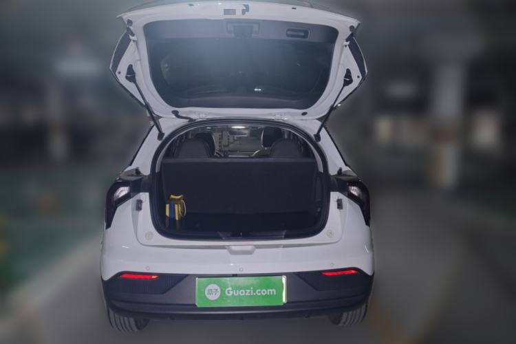 Used Geometry E Firefly 2022 401 km Linglong Tiger 4 Seats
