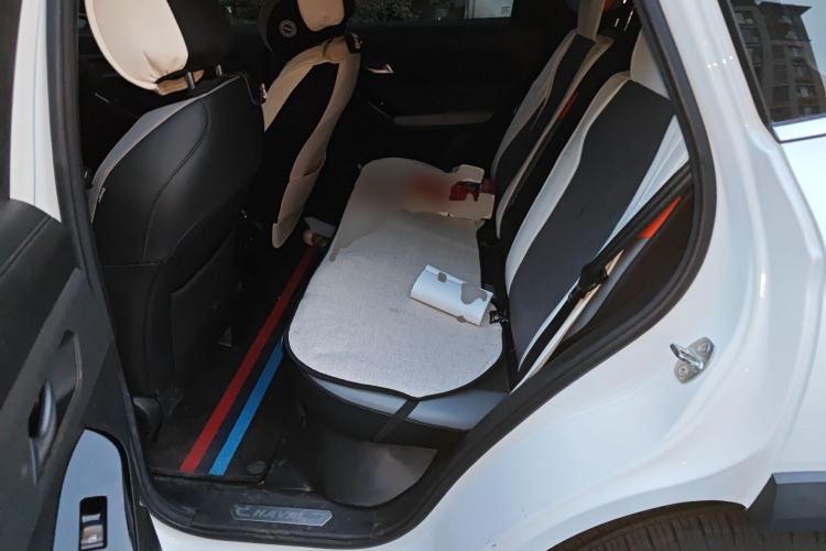 Used Haval LHERY 2021 High-Performance Version 1.5T Golden Rabbit Left Rear Seat