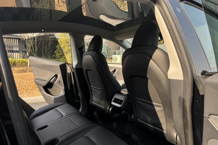 Used Tesla Model Y 2023 Rear-Wheel-Drive Version